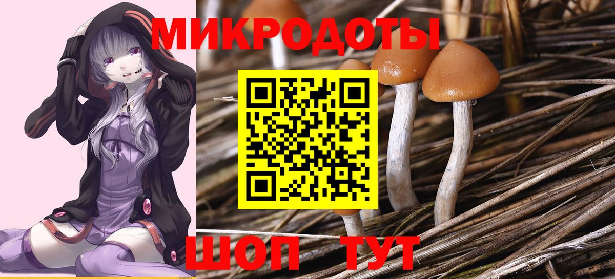 Галлюциногенные грибы Magic Shrooms Тольятти