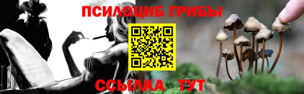 Тольятти  дарнет шоп  Вход с VPN  Галлюциногенные грибы Psilocybine cubensis 